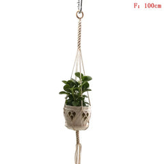 Plant Hanger And Flower Holder