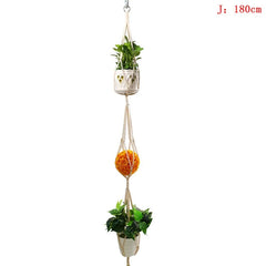 Plant Hanger And Flower Holder