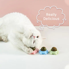 Healthy Cat Catnip Toys Snack